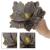 Set 5 ornamente pentru bradul de Craciun, stea Poinsettia, 23cm, gri auriu Household NewTrend