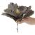 Set 5 ornamente pentru bradul de Craciun, stea Poinsettia, 23cm, gri auriu Household NewTrend