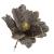 Set 5 ornamente pentru bradul de Craciun, stea Poinsettia, 23cm, gri auriu Household NewTrend