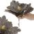 Set 5 ornamente pentru bradul de Craciun, stea Poinsettia, 23cm, gri auriu Household NewTrend