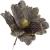 Set 5 ornamente pentru bradul de Craciun, stea Poinsettia, 23cm, gri auriu Household NewTrend