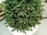 Brad artificial Christmas Deluxe by Sersimo, Royal Felara, 2D+3D, 250cm Household NewTrend
