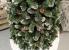 Brad artificial Christmas Deluxe by Sersimo, Lidia Nins cu conuri, 2D, 250cm Household NewTrend