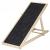 Rampa pentru caini si pisci cu 3 nivele de reglare 42-59cm, antiderapanta, lungime 103cm Household NewTrend