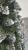 Brad artificial Christmas Deluxe by Sersimo, Crystal nins cu merisoare, 2D, 220cm Household NewTrend