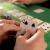 Set de Poker Complex cu 500 de jetoane, covoras verde, 2 seturi de carti, 5 zaruri, in servieta aluminiu Household NewTrend