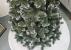 Brad artificial Christmas Deluxe by Sersimo, Lidia Nins, 2D,180cm Household NewTrend