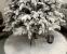 Brad artificial Christmas Deluxe by Sersimo, Kovalivska nins, 3D, 230cm Household NewTrend