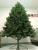 Brad artificial Christmas Deluxe by Sersimo, Kovalivska verde, 3D, 210cm Household NewTrend