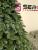 Brad artificial Christmas Deluxe by Sersimo, Canada argintiu, 3D, 210cm Household NewTrend