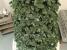 Brad artificial Christmas Deluxe by Sersimo, Canada argintiu, 3D, 210cm Household NewTrend