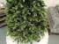 Brad artificial Christmas Deluxe by Sersimo, Carpati cu varfuri verzi, 2D+3D, 210cm Household NewTrend