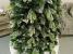 Brad artificial Christmas Deluxe by Sersimo, Diamant, 2D+3D, 220cm Household NewTrend