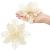 Set 10 ornamente pentru bradul de Craciun, stea Poinsettia, 16cm, crem Household NewTrend