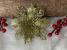 Set 10 ornamente pentru bradul de Craciun, stea Poinsettia, 16cm, galben auriu Household NewTrend