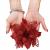 Set 10 ornamente pentru bradul de Craciun, stea Poinsettia, 16cm, visiniu Household NewTrend