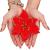 Set 10 ornamente pentru bradul de Craciun, stea Poinsettia, 13cm, rosu cu sclipici Household NewTrend