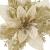 Set 10 ornamente pentru bradul de Craciun, stea Poinsettia, 13cm, auriu crem Household NewTrend