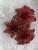 Set 10 ornamente pentru bradul de Craciun, stea Poinsettia, 10cm, rosu Household NewTrend