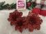 Set 10 ornamente pentru bradul de Craciun, stea Poinsettia, 10cm, rosu Household NewTrend
