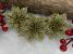 Set 10 ornamente pentru bradul de Craciun, stea Poinsettia, 14cm, auriu Household NewTrend