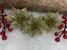 Set 10 ornamente pentru bradul de Craciun, stea Poinsettia, 14cm, auriu Household NewTrend