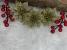 Set 10 ornamente pentru bradul de Craciun, stea Poinsettia, 14cm, auriu Household NewTrend