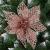 Set 10 ornamente pentru bradul de Craciun, stea Poinsettia, 10cm, roz Household NewTrend