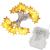 (DL) Instalatie stelute luminoase pentru gradina, 5 metri, 50 LED-uri, cu baterii, galben Household NewTrend