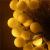 Instalatie bile luminoase pentru gradina, 7,5 metri, 50 LED-uri, cu baterii, galben Household NewTrend