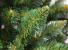 Brad artificial Christmas Deluxe by Sersimo, Himalaya, 180cm Household NewTrend