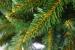 Brad artificial Christmas Deluxe by Sersimo, Himalaya, 150cm Household NewTrend