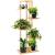 Stand de flori din lemn cu 6 etajere suport GA199, 102x40cm Household NewTrend