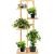 Stand de flori din lemn cu 6 etajere suport GA199, 102x40cm Household NewTrend