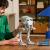 LEGO Robotul biped AT-ST Quality Brand