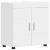 Cabinet pentru chiuvetă de baie cu ușă Alb 60 x 34 x 63 cm GartenMobel Dekor