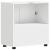 Cabinet pentru chiuvetă de baie cu ușă Alb 60 x 34 x 63 cm GartenMobel Dekor