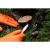 Manusi de nitril marimea M, 50 buc. NEO TOOLS 97-690-M HardWork ToolsRange