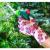 Manusi de gradina model floral, marimea 7" VERTO 97H146 HardWork ToolsRange