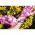 Manusi de gradina model floral, marimea 9" VERTO 97H148 HardWork ToolsRange