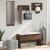 Set mobilier de hol, 4 piese, stejar maro, lemn prelucrat GartenMobel Dekor