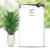 Purificator de aer Heinner Forest Breeze Sense 488 HPA-488WIFI, CADR 488 m³/h, filtru HEPA H11 + lampa UV, WIFI, ionizare, Auto, Sleep, 4 viteze, 85W, 3458 m², alb SafetyGuard Surveillance