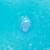 COLAC DUBLU GONFLABIL PENTRU PISCINA SUNCLUB EuroGoods Quality