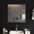 Oglinda de baie cu LED, 60x60 cm GartenMobel Dekor
