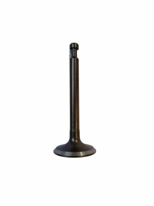 supapa de esapament pentru motopompa Innovative ReliableTools
