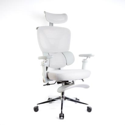 Scaun de birou ergonomic cu brațe reglabile, tetieră și suport pentru picioare, gri Best CarHome