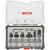 Bosch Set 6 freze de profilat canturi, frezare coplanară si refecare, tija 6mm ProAdvanced PowerfulTools