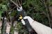 Texas GS720LI Foarfeca electrica gradina, Li-Ion, 7.2V, 1.5Ah, max 20mm ProAdvanced PowerfulTools