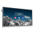 Display Interactiv 75', 4K UHD, Touch screen, Wi-Fi 6, Android 13, Audio - UNV MW3575-U-C SafetyGuard Surveillance