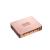 Amplificator auto Goldhorn P1 DSPA CarStore Technology